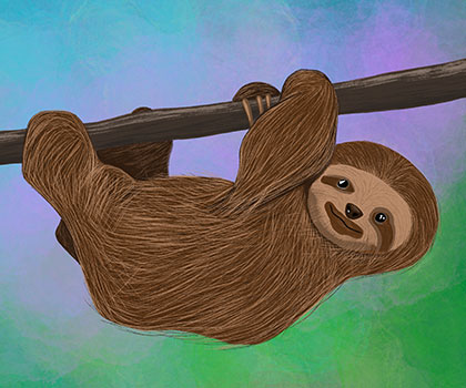 Beth Harper Design | Sloth Illustration